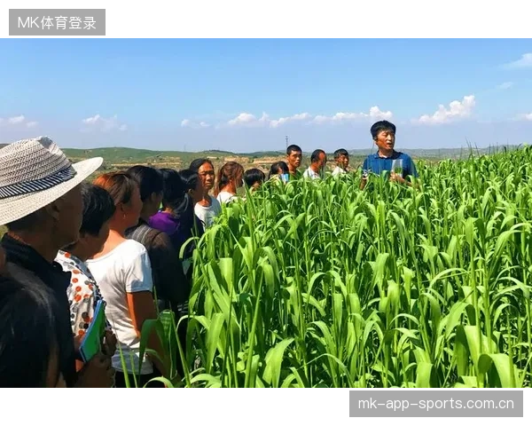 体育赛事公共治理机制探索推进地方执行的创新之路